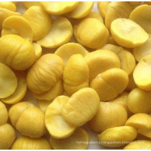 Chinese Chestnut Kernel High Quality